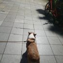 웰케어동물병원 이미지