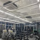 언디핏피트니스×더탠 이미지