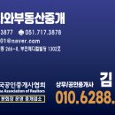 부전생닭 이미지