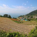 남해-274 이미지