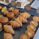 둔산4태권도 이미지