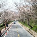 한수제 일원 이미지