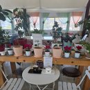 건강발효빵(화) | [파주 베이커리 추천] 더밀풍베이커리 누룩발효 건강빵 솔직후기