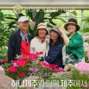 제주다정여행사