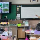 대구범물초등학교 이미지