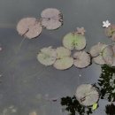 (1,029. 김재은의 행복한 월요편지)제주의 따뜻한 삶의 기운을 보냅니다. 이미지