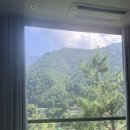 골든파인펜션 이미지