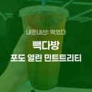 포도다방 | [내돈내산] 빽다방 포도 열린 민트트리티 당류, 가격, 솔직 후기 (feat.빽다방 논카페인 음료)