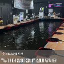 스피드메이트 전당앞점 | 경기 화정 실내낚시카페 손쉽게 낚는 대어 이색 데이트 코스 아이와 함께