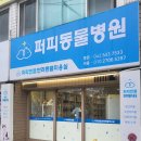 퍼피엔젤 반려동물 미용실 이미지