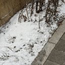 현진실업 노동조합 | [01/19-01/25] #4 낸들 이번주가 가장 추울 줄 알았겠어. 그럼 약속 안잡았지