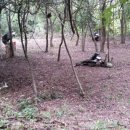 쥬라기pc 이미지