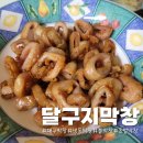 막창왕