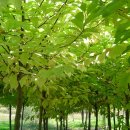 오페라 미용실 이미지