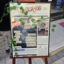 4박5일 부산 뚜벅이 여행 (꿀팁 + 맛집) 후기-국제시장 엘라보라도, 남포동 승기네 씨앗호떡, 자갈치...