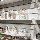 1898광장약국 이미지