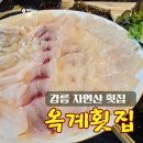강릉 옥계 횟집 자연산회 먹으러 또 가고 싶은 금진항 근처 맛집