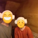 면역공방 이미지