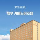 (주)영남해외여행사 이미지