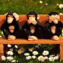 서울보청기.의료기 이미지