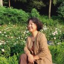 세움협동조합 이미지