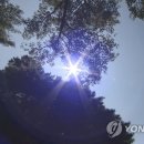 &#34;올여름 4월부터 11월까지&#34;…&#39;40도 폭염&#39; 예측한 기상학자의 전망 이미지