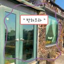 [제주 한림/금능 카페 추천] 귀여운 강아지와 넓은 마당이 공존하는 카페 &#39; 반하크라&#39;
