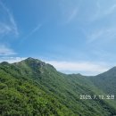 샤모니 - 남원시 남문로 436 | 샤모니