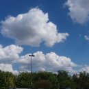 달라스당구장 이미지