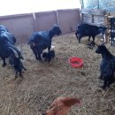 산북농장 이미지