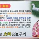 오리지날 오리 숯불구이