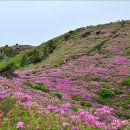 34차정기산행공지(보성군 일림산5/12) 이미지