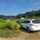 야산농장 이미지