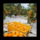 다미농장 이미지