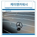 폴리앤카