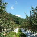 진선미농장 이미지