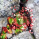 무주읍159 Daum카페