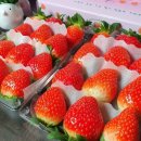 대구농장 이미지