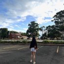 오페라 <마을벤치> | 시드니 일주일 자유여행 / 시티 / 본다이비치 / 오페라하우스/ 타롱가동물원 /씨라이프아쿠아리움...