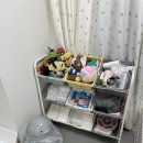 땡일리 애견 유치원 이미지