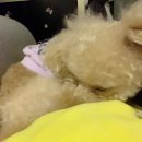 꿈나라 - 성남시 중원구 산성대로 526 | 꿈나라