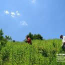 리버빌