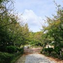 (초보자를 위한)요즘 핫한 챗GPT | &#39;25. 스물네번째 일상, 가을의 첫 기록 🍁