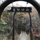 숲거리농장 Daum카페