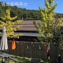 범브로하우스