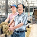 은선목장 이미지