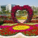 꽃나루공원 이미지