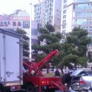 롯데리아 앞 횡단보도 이미지