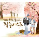 얄개비디오 이미지