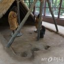 관양동 청동기유적 이미지